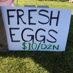Fresh Eggs $10/dozen
