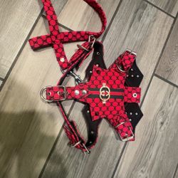 Dog Harness + leash