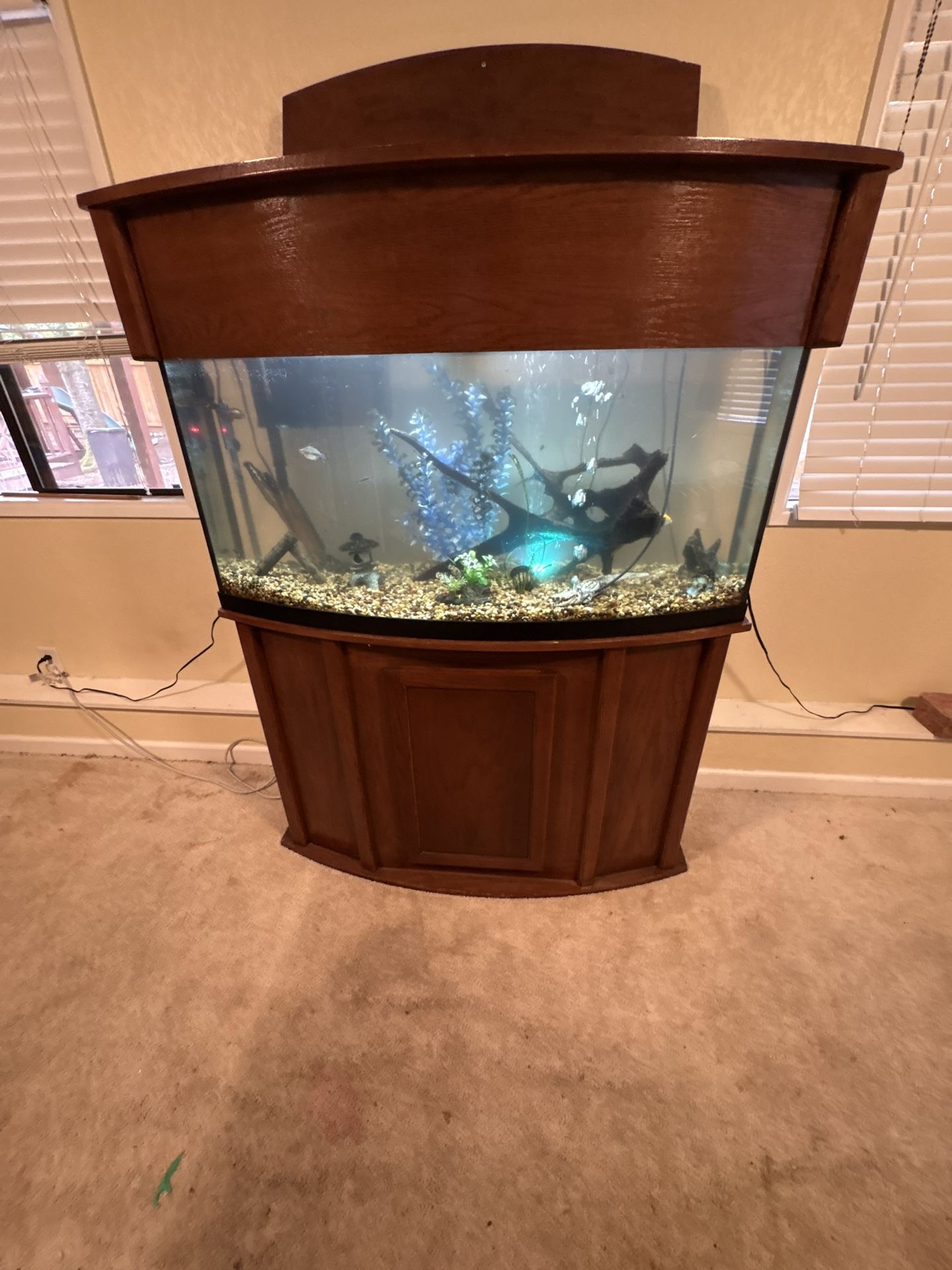 Full Fish Tank Setup With Fish And Everything Included