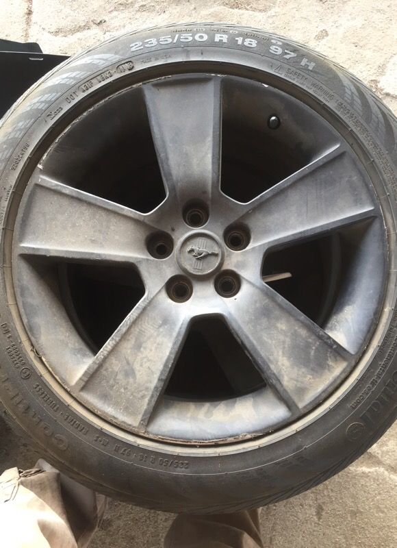 2005-09 mustang rims and tires 300$obo