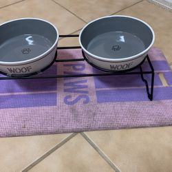 Dual dog dishes and stand and food mat