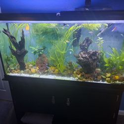 Fish Tank, Stand And All Equipment