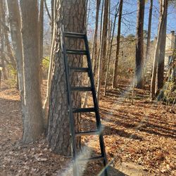 Aluminum 10 Foot Extension Ladder