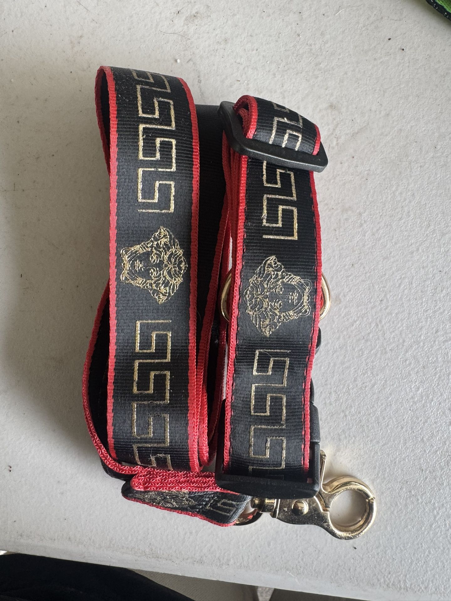 Small Versace Dog Collar And Leash