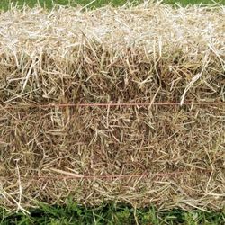 LOCAL HAY FOR SALE