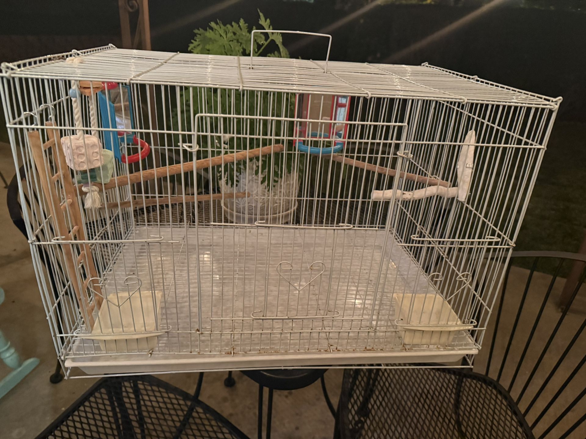 Bird Cage