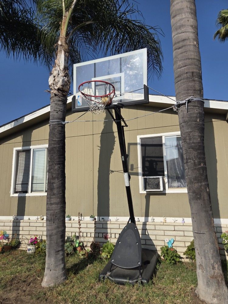 Basketball Hoop