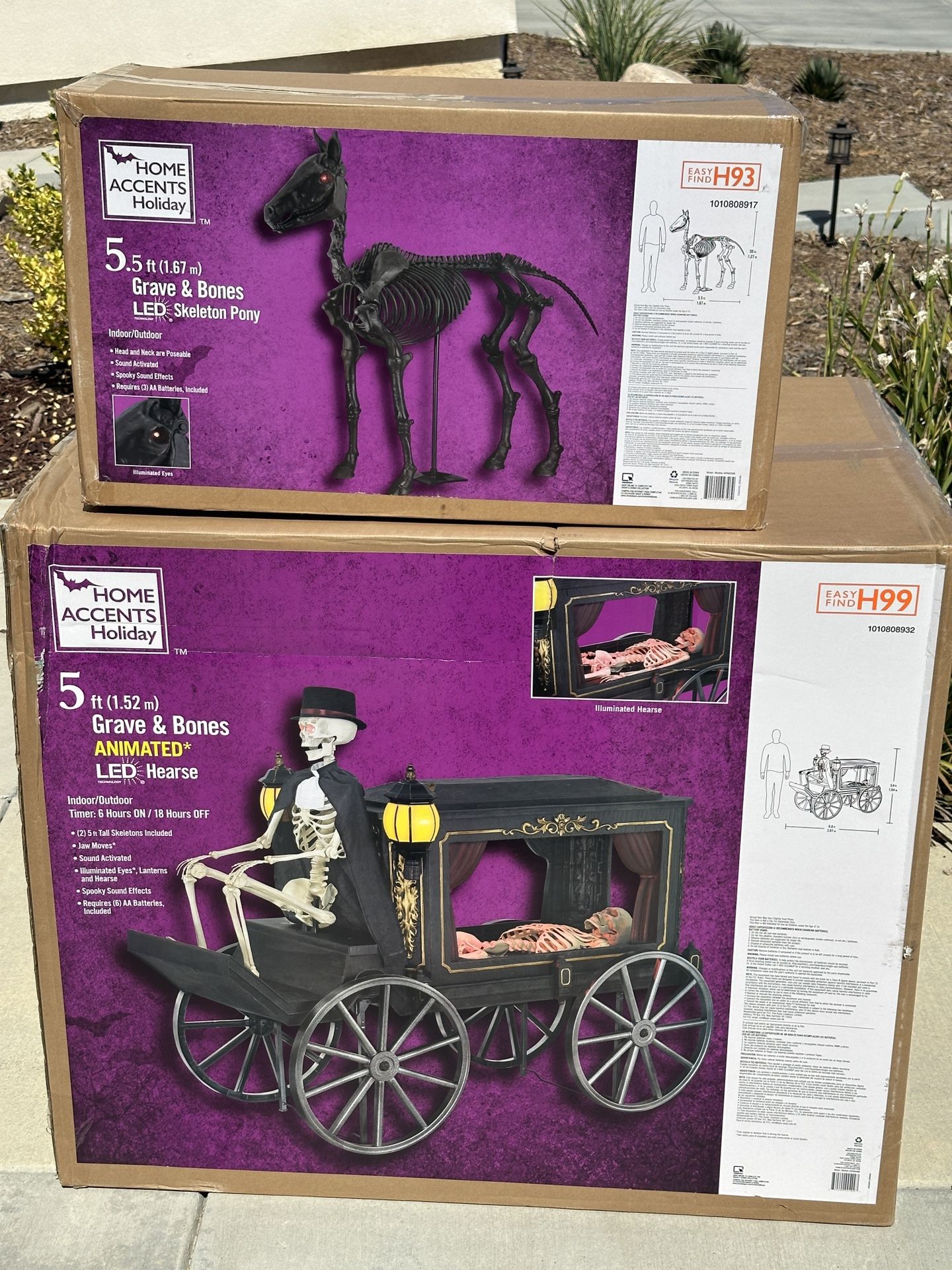 Home Depot Halloween Hearse & Pony🎃