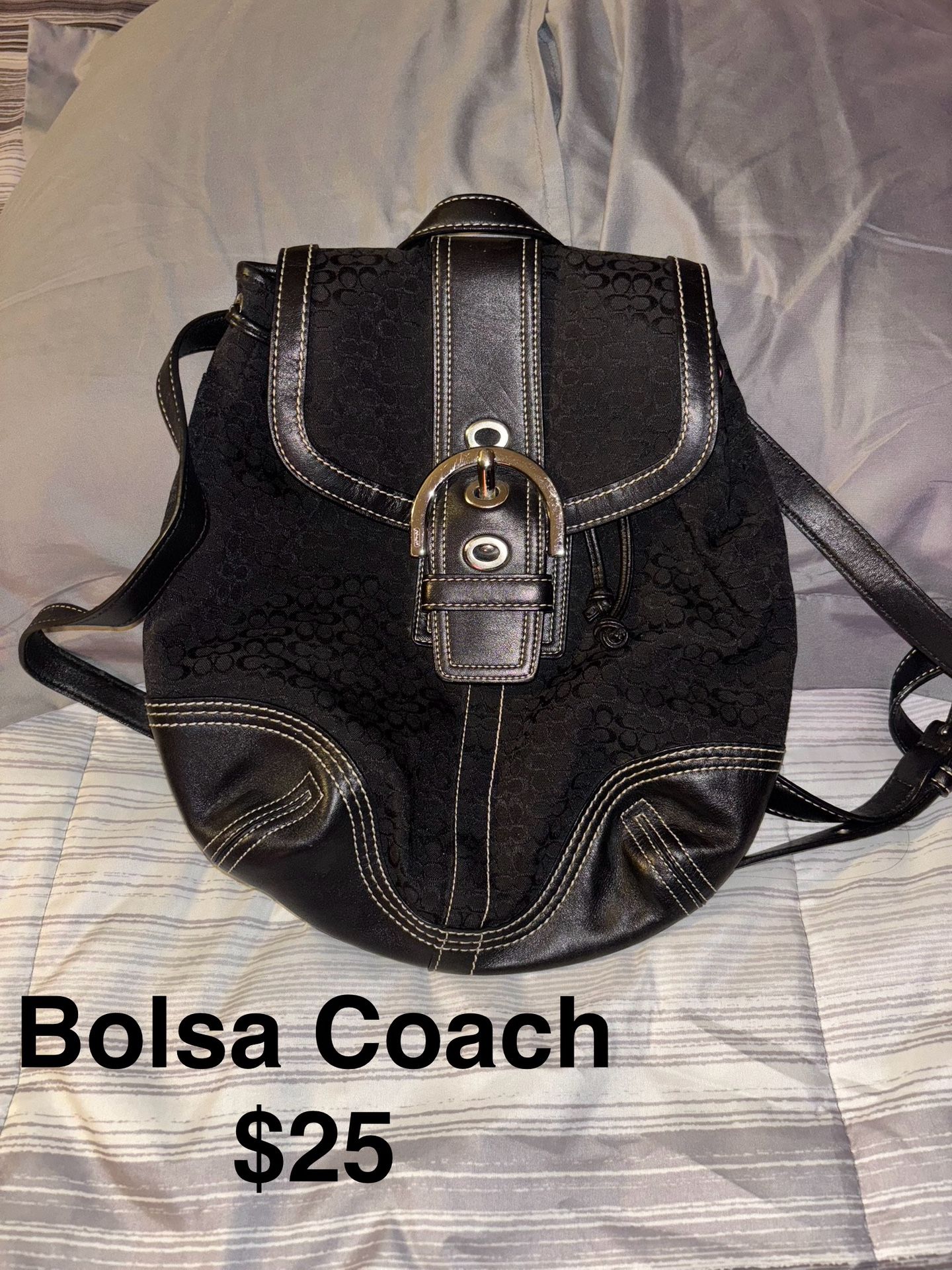 Back Pack Coach