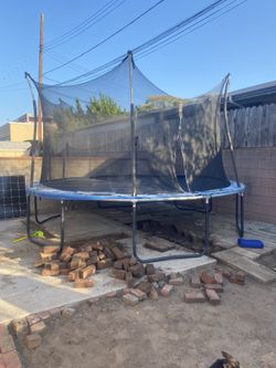 Trampoline