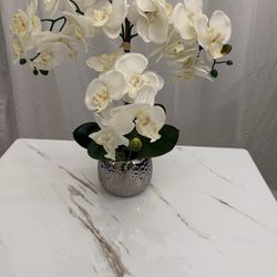 Orchid picture frame in plant accepting offers