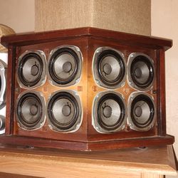 Bose 901's 1st Edition 