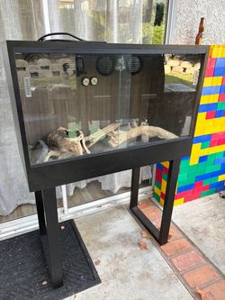 CUSTOM-BUILT ENCLOSURE + STAND  🦎