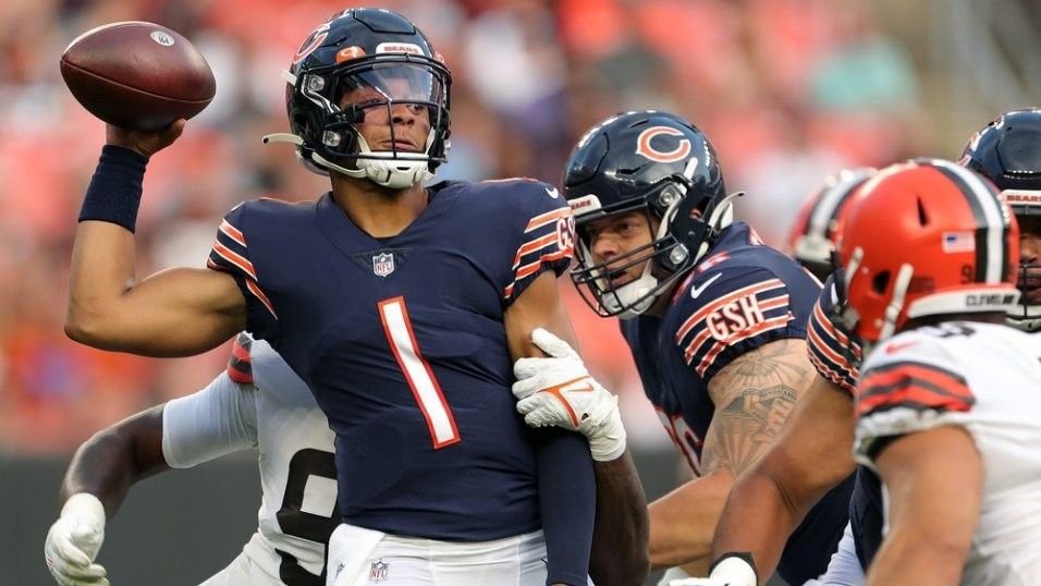Browns Vs Bears 12/17 - Up To 4 - Lower Dawg Pound
