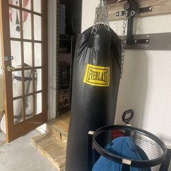 Everlast Punching Bag