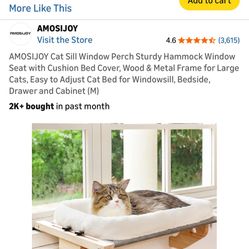 Cat Window Daybed