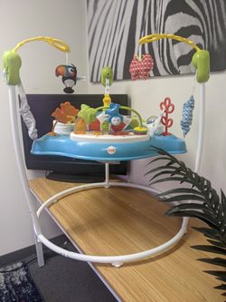 Fisher-Price Color Climbers Jumperoo Amazon Exclusive
