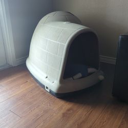 Dog House