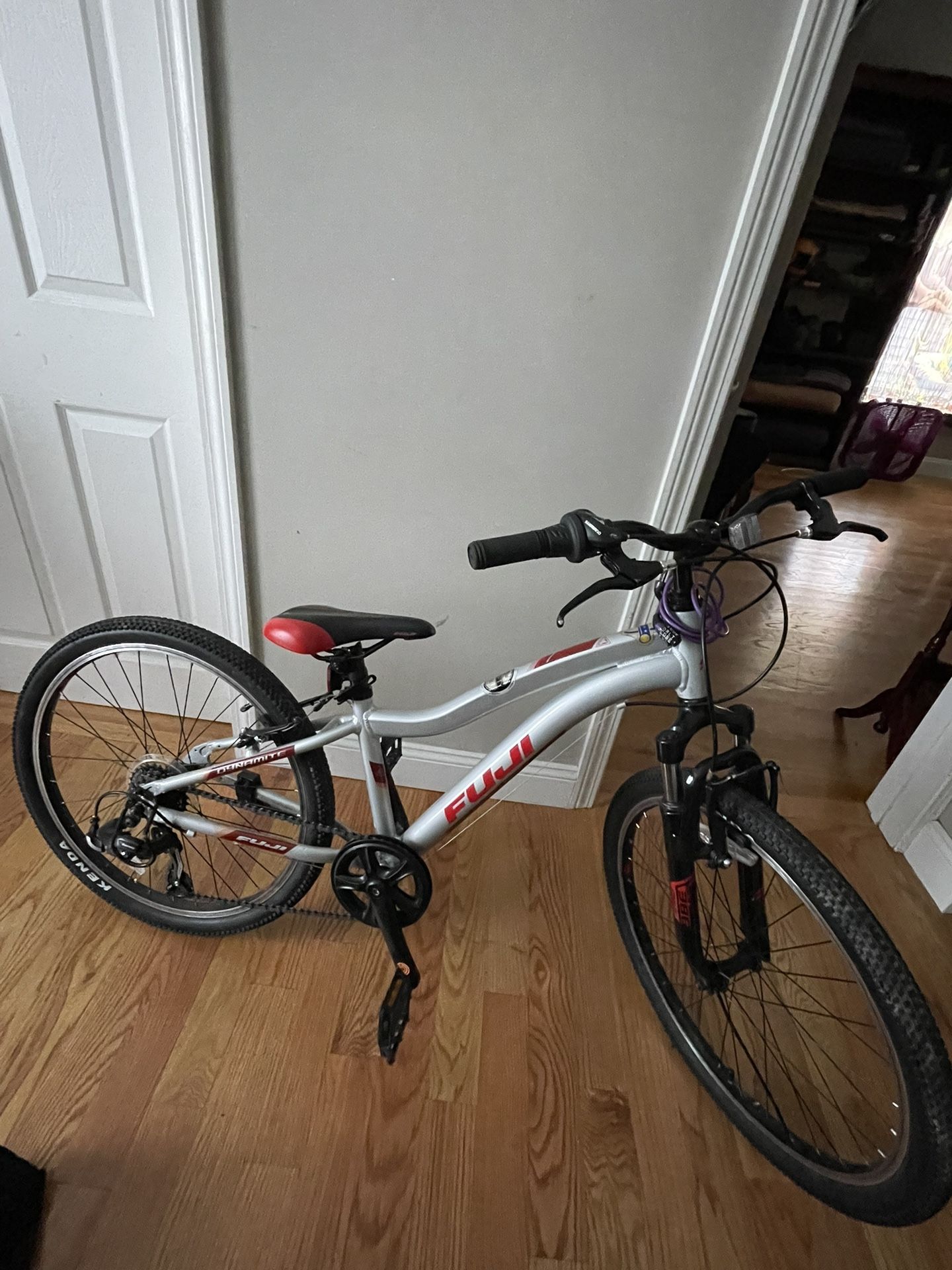 Fuji Mountain Bike 24” Need Gone