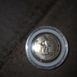 Looks Like A Wounded Buffalo And On The Back And 2005