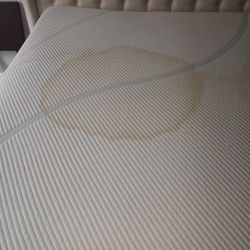 Matress/Steam/Clean 