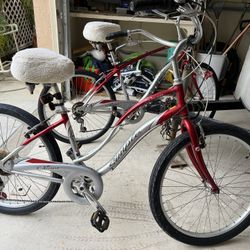 GIANT Ladies & Gents Bicycle