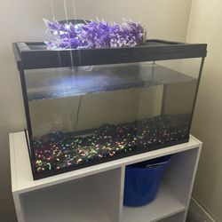 Fish Tank 50 Obo 