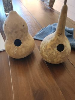 Birdhouse gourds