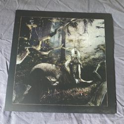 Earl Sweatshirt Feet Of Clay Vinyl