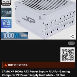 1000W Power Supply 80+ Platinum (Sealed Box)
