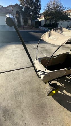 Kids Wagon