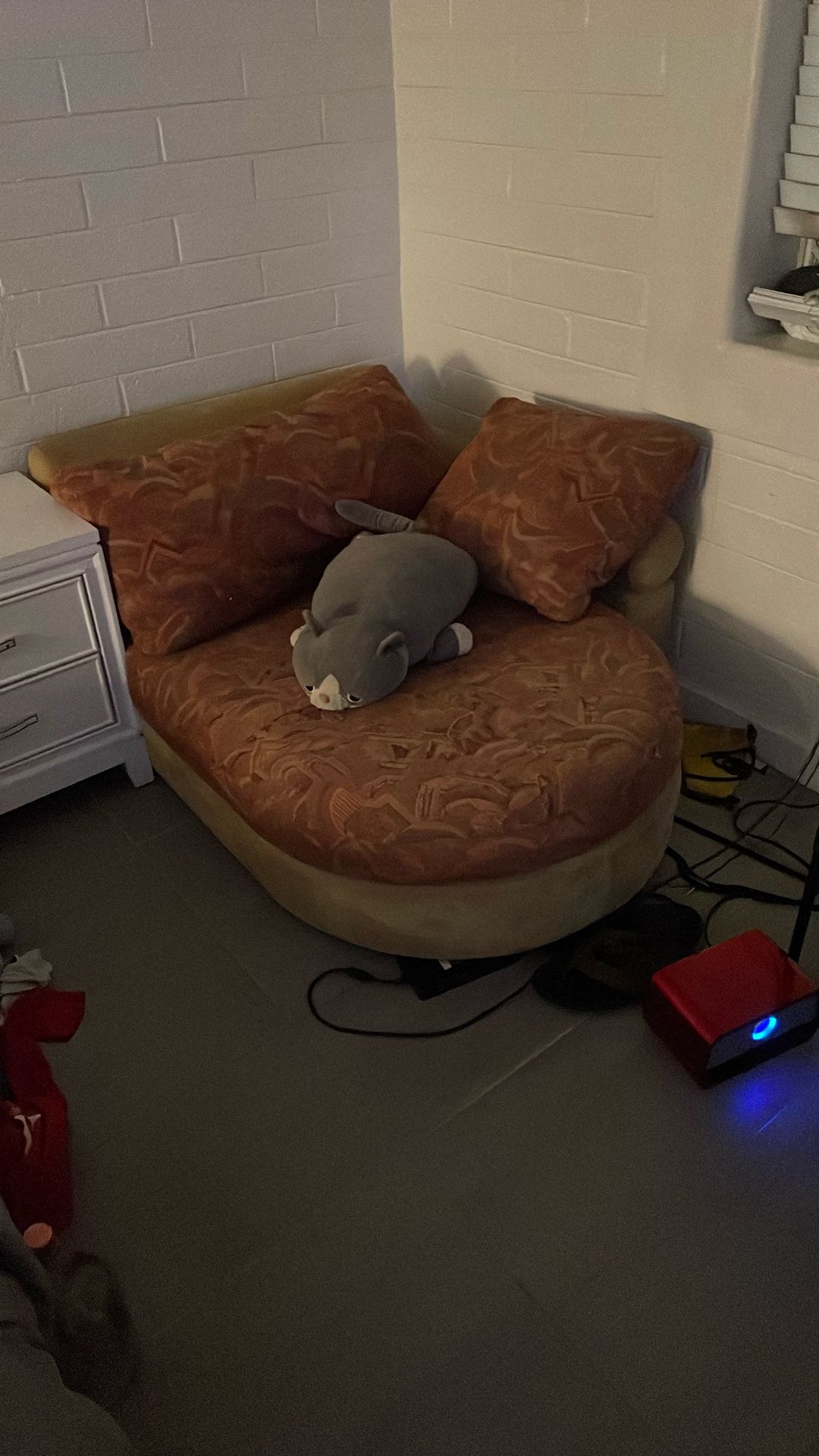 Bigger Chair (Lived On By Pets)