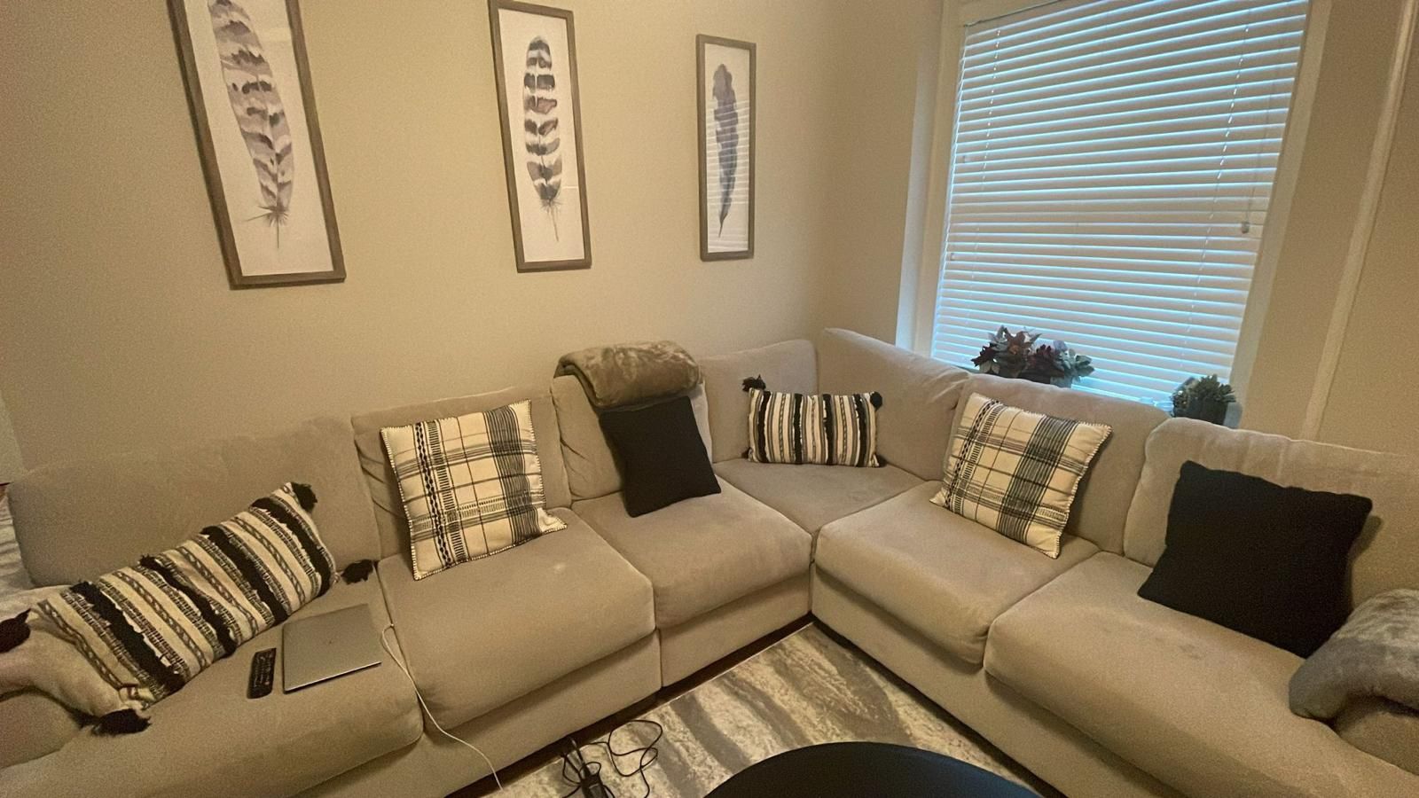 Sectional Couch