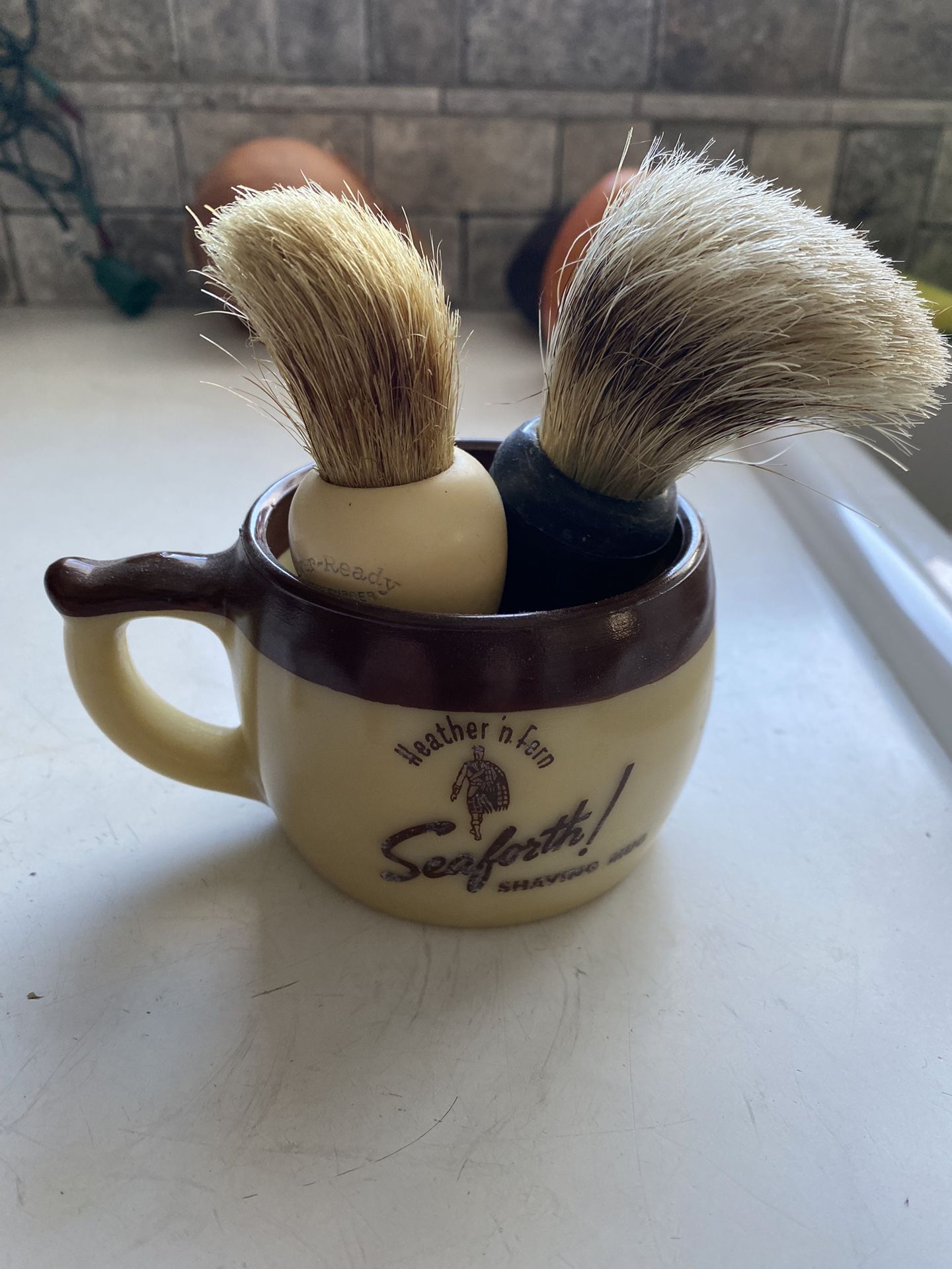 Shaving mug