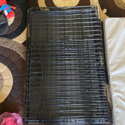 Dog Crate 