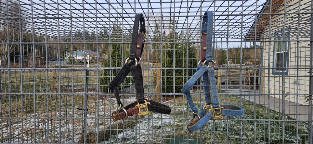 Two Horse Halters - For Weanling or Large Pony