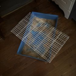 Guinea Pig Cage 