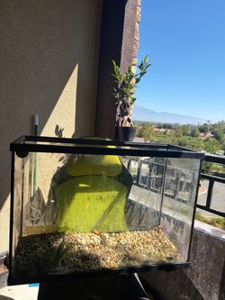 Aquariums