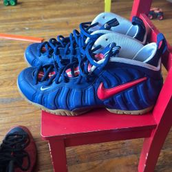 Nike Foamposite Pro USA 2020 