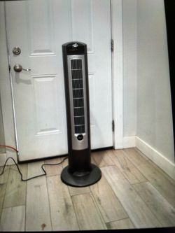 fan