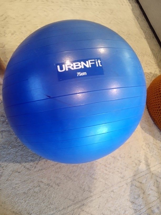 Exercise Ball