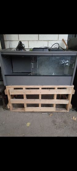 Reptile tank