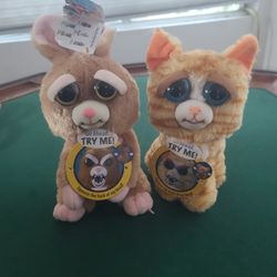 Feisty Pets