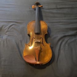 Beautiful Brown Green Violin 