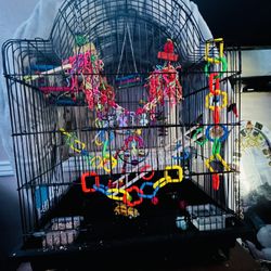 Large Bird Cage And Lots Of Toys Best Offer Include Everything In Pic
