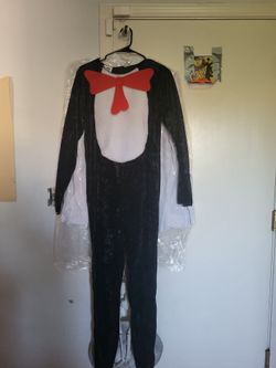 New Cat & the hat costume