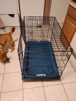 Medium dog kennel