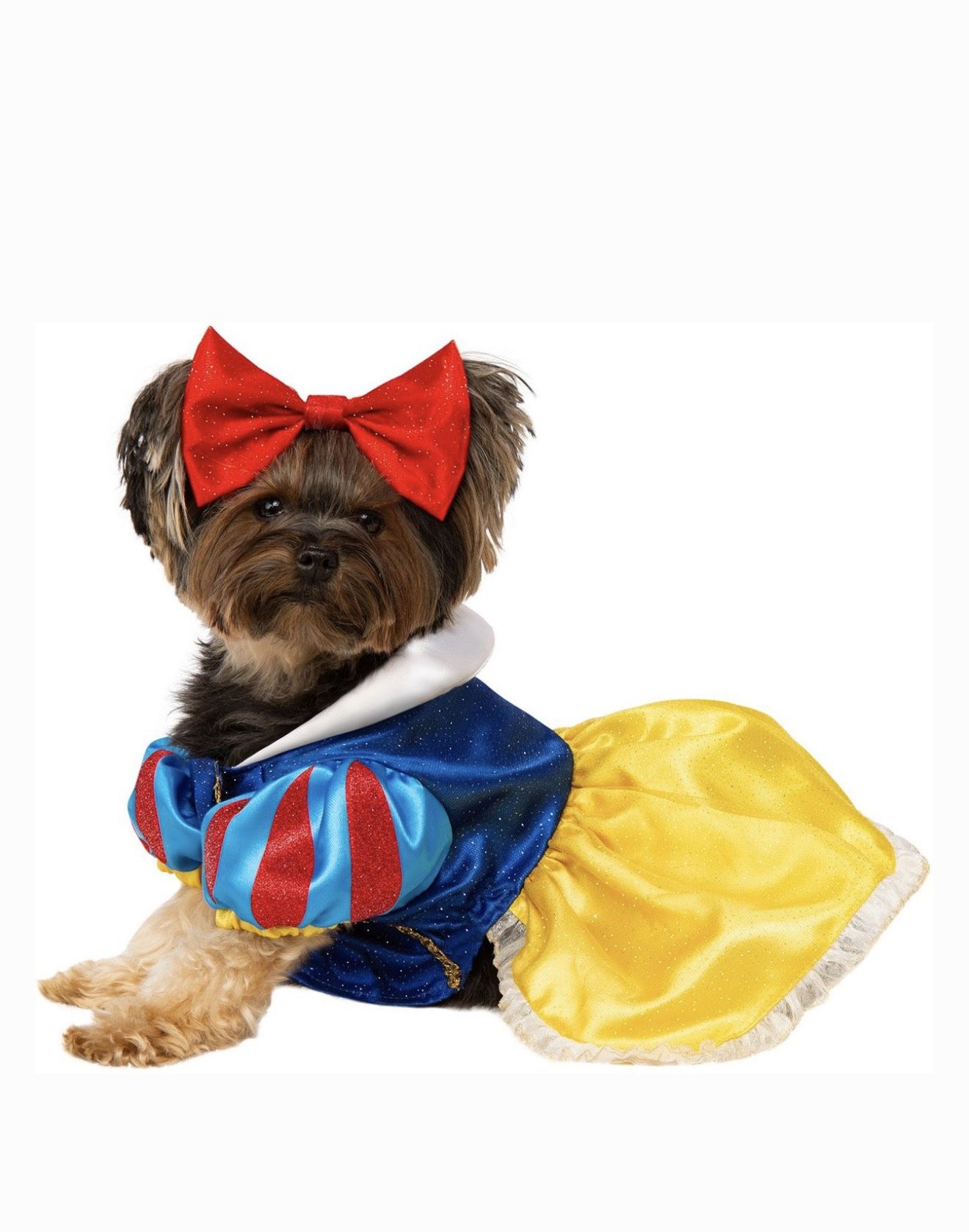 Dog Halloween Costume