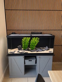 Aquarium