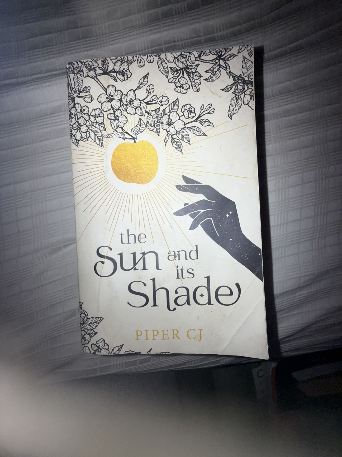 The Sun And Its Shade